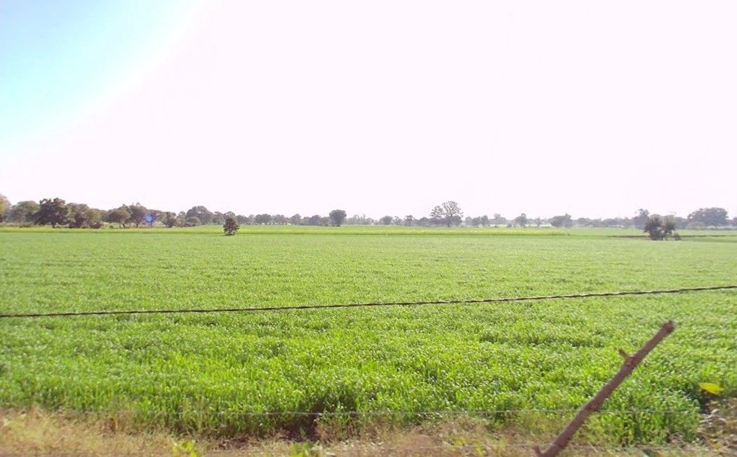 Hinotiya, Madhya Pradesh 464226, India