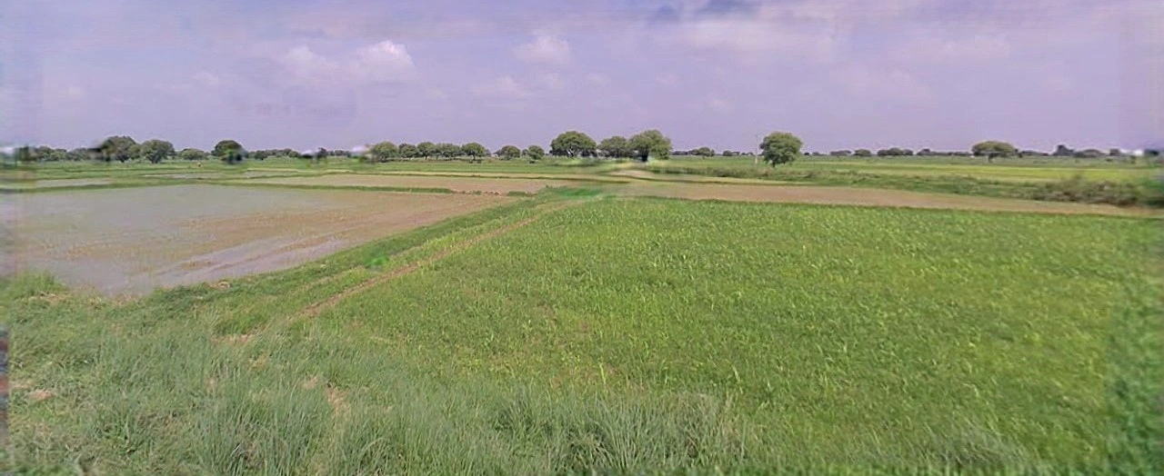 Sonipat, Haryana, India