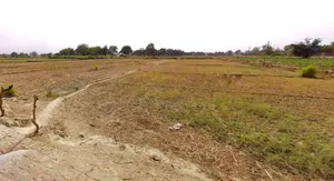 Jhargram, West Bengal, India preview 2