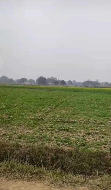 Morinda - Chunni Rd, Bhateri, Punjab, India
