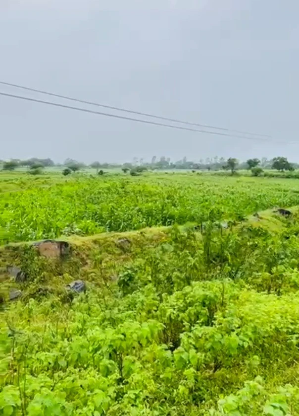 Gautampura, Madhya Pradesh 453220, India