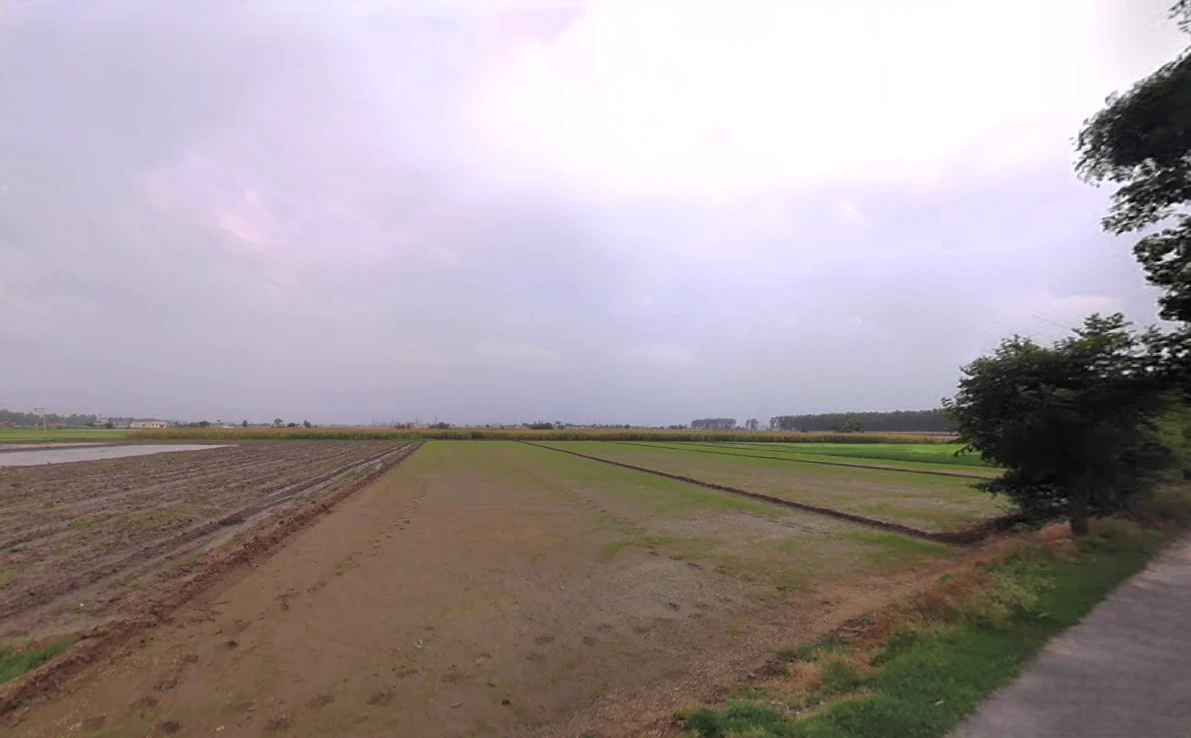 Dhurala, Haryana 136119, India