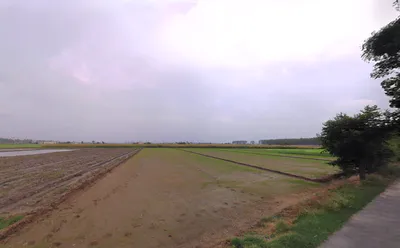 Dhurala, Haryana 136119, India preview 2