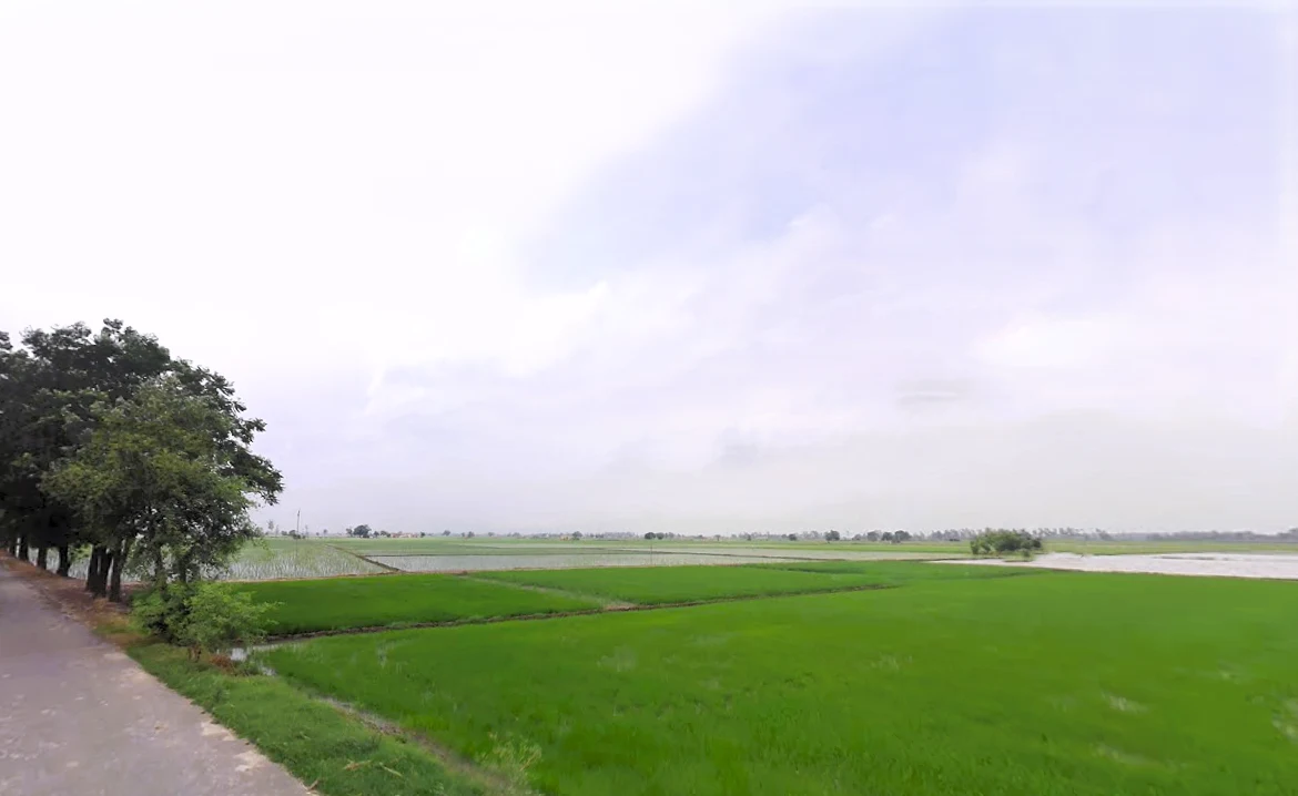 Dhurala, Haryana 136119, India