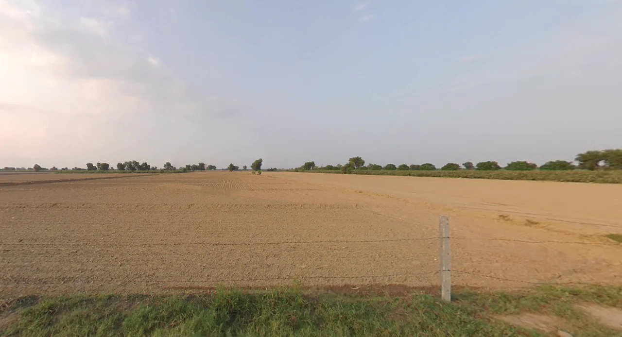 Kaluana, Haryana 125103, India preview 3