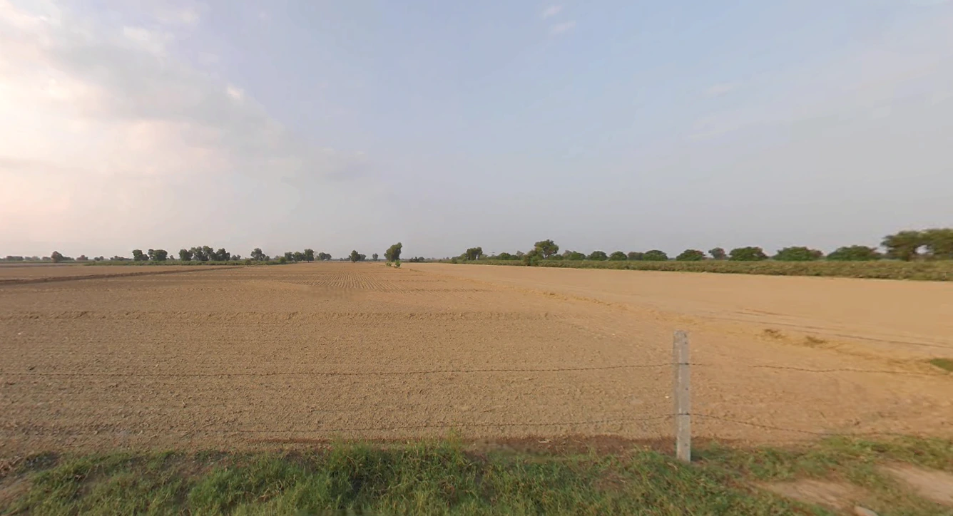 Kaluana, Haryana 125103, India