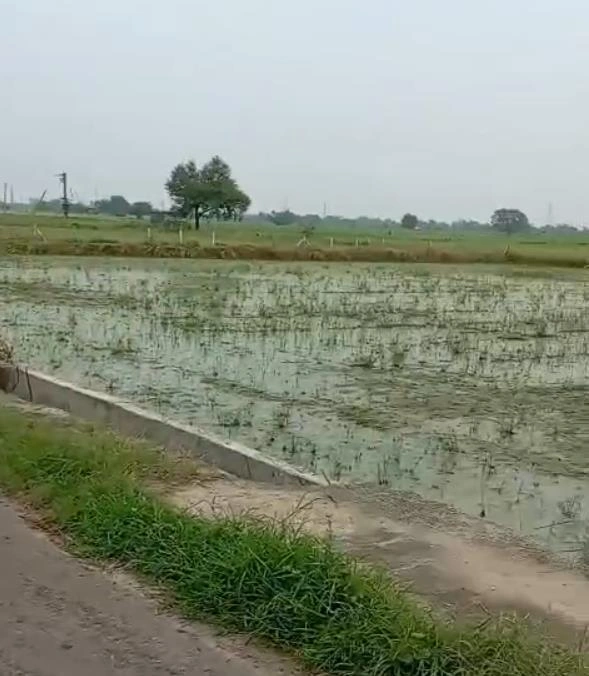 Badli, Haryana 124105, India