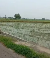 Badli, Haryana 124105, India preview 3