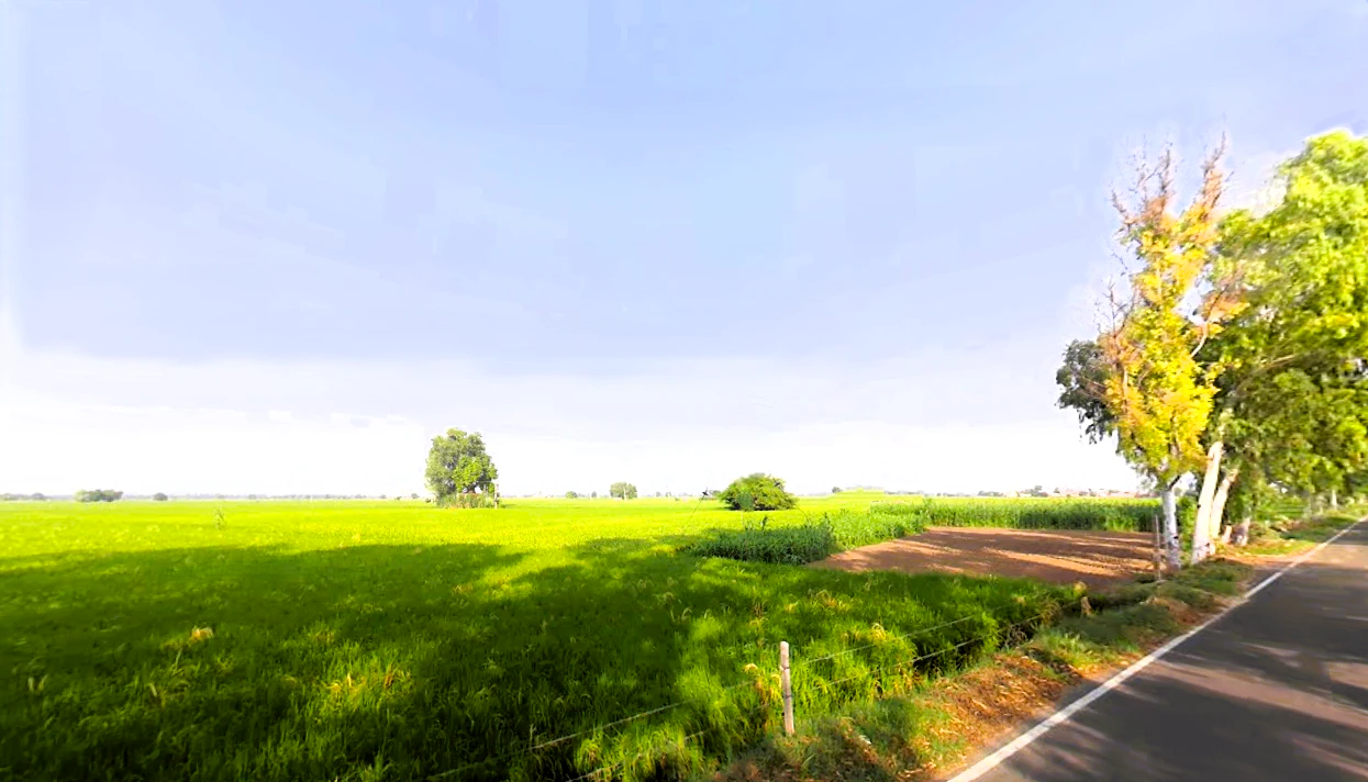Mallekan, Haryana 125055, India