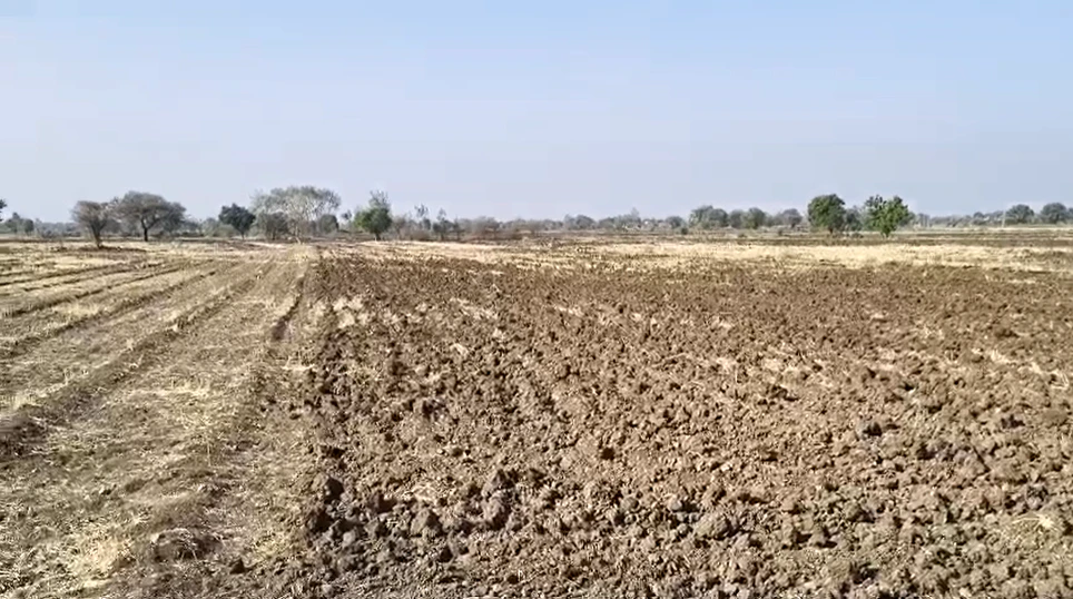 8RG6+GG5, Lakhaheda, Madhya Pradesh, India