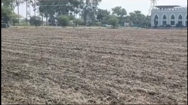 Polay Kalan Rd, Shajapur, Polay Kalan, Madhya Pradesh, India - Photo 2