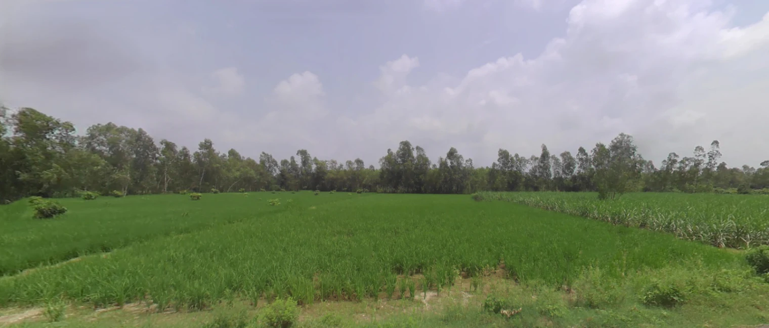 Mirzapur, Uttar Pradesh 247121, India