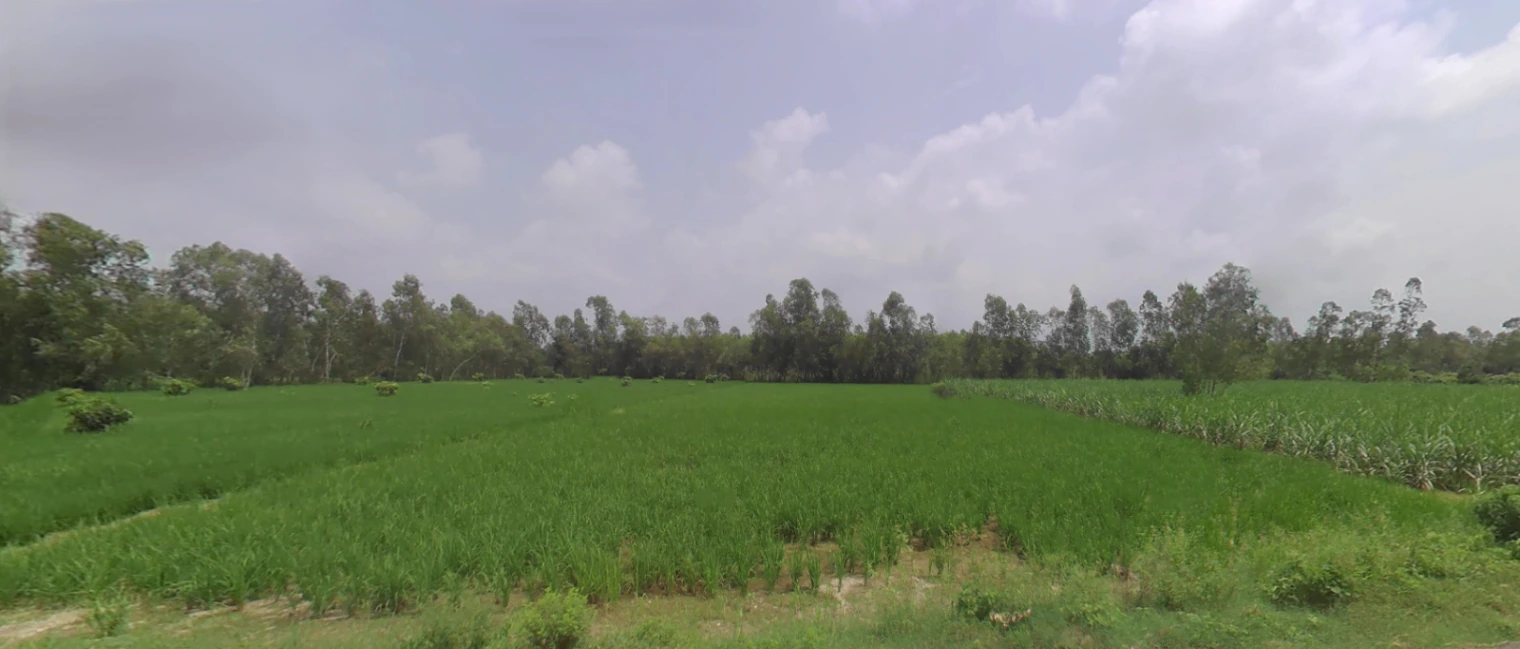 Mirzapur, Uttar Pradesh 247121, India