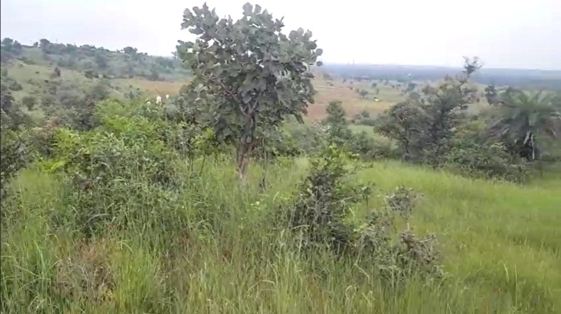 Sankota, Madhya Pradesh, India