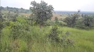 Sankota, Madhya Pradesh, India preview 2