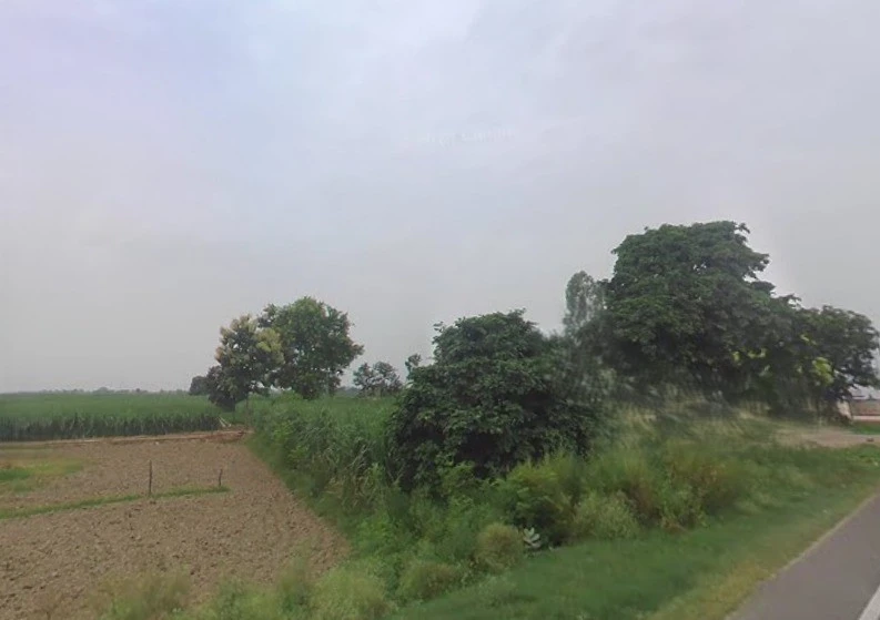 Puttha Rd, Rithani West, Phase-II, Industrial Area, Mohkam Pur, Meerut, Uttar Pradesh, India