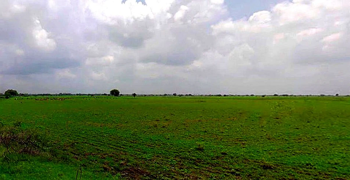 Barsana, Uttar Pradesh 281405, India