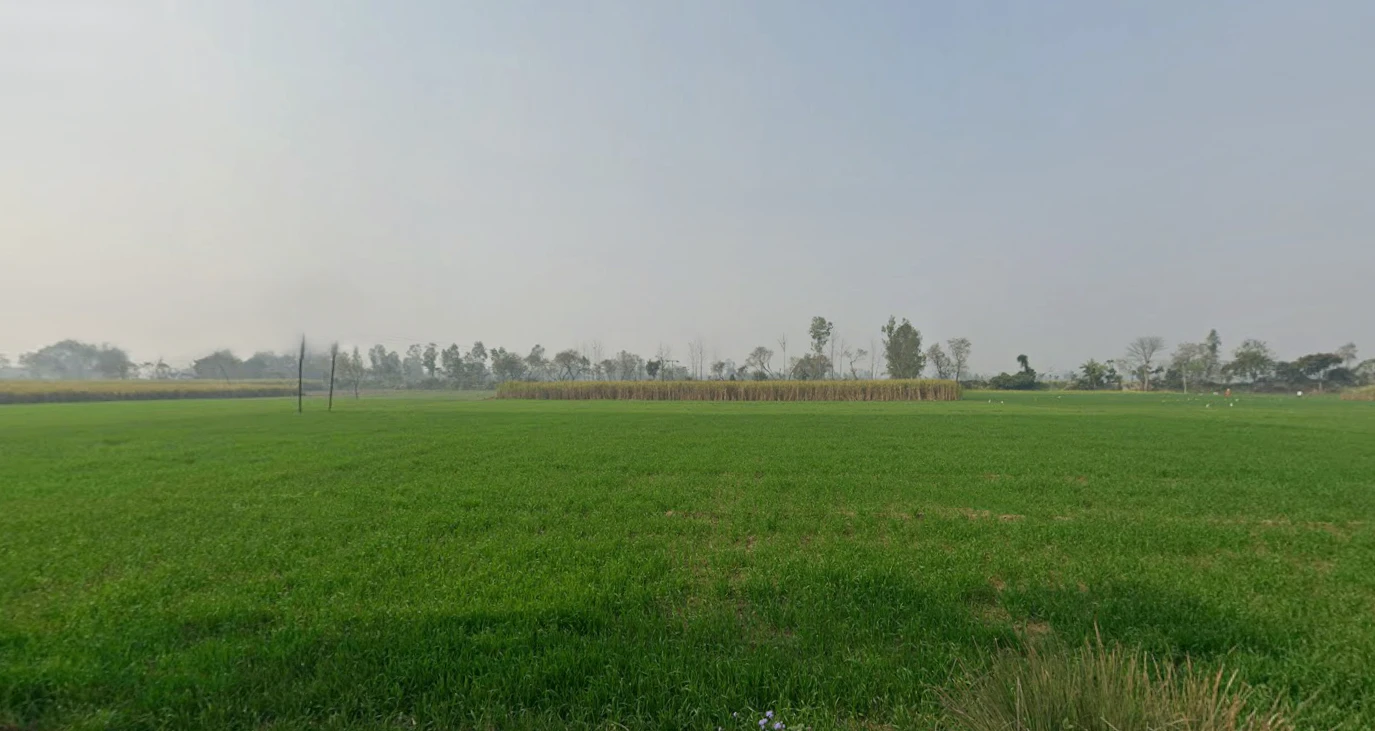 Bhagwanpur, Uttarakhand 247661, India