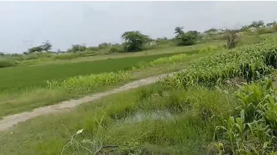 Samesee, Lucknow, Uttar Pradesh 226303, India preview 2
