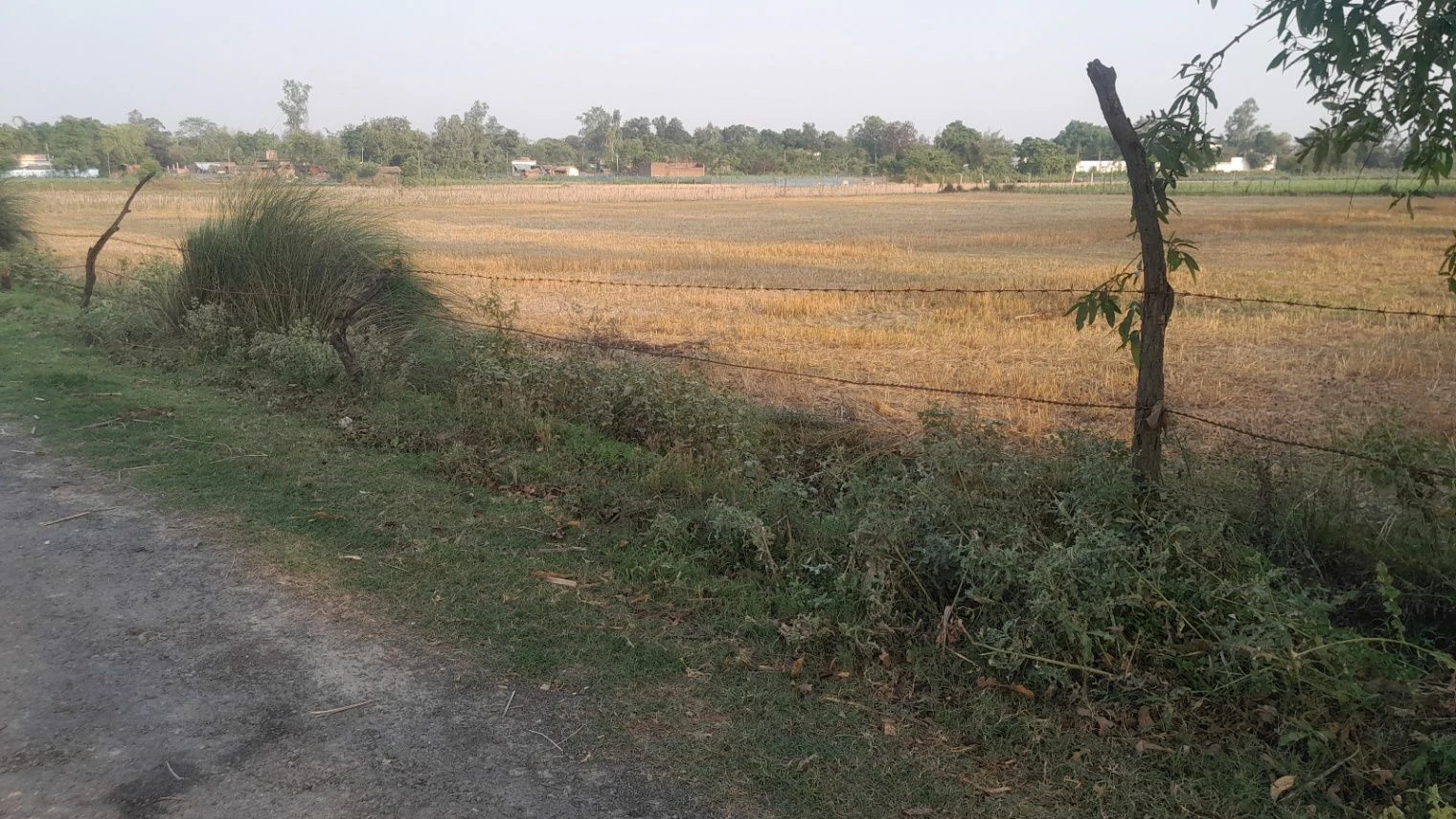 P56C+PX Bhadokhar, Uttar Pradesh, India