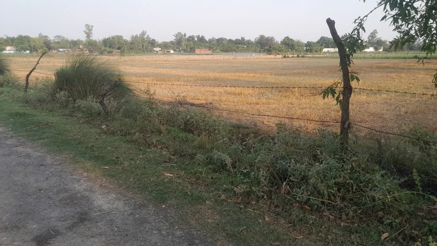 P56C+PX Bhadokhar, Uttar Pradesh, India