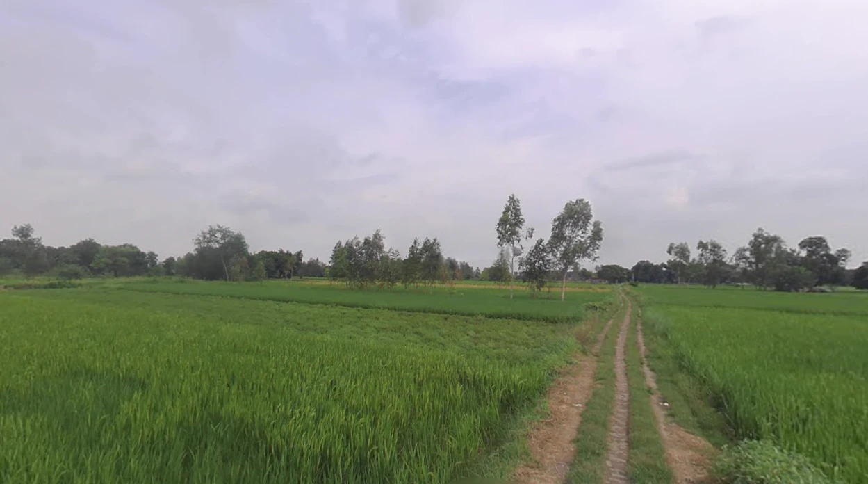 Budaun, Uttar Pradesh 243601, India