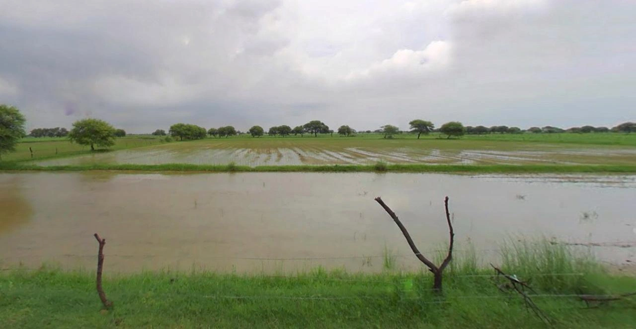 Sri Ganganagar, Rajasthan, India