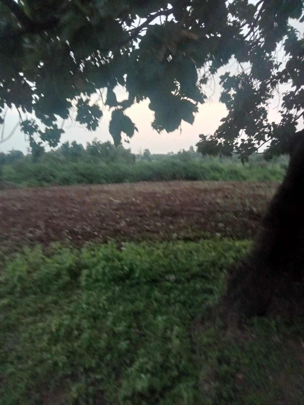 Silwani, Raisen, Madhya Pradesh 464886, India
