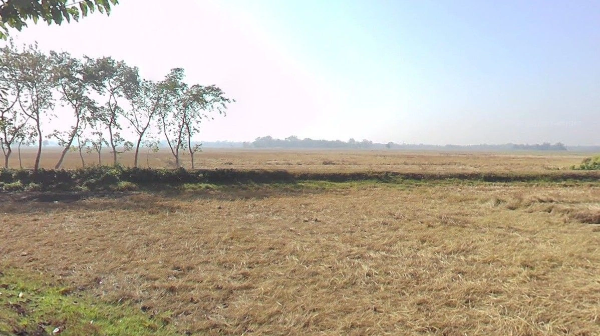 Begumganj, Madhya Pradesh, India
