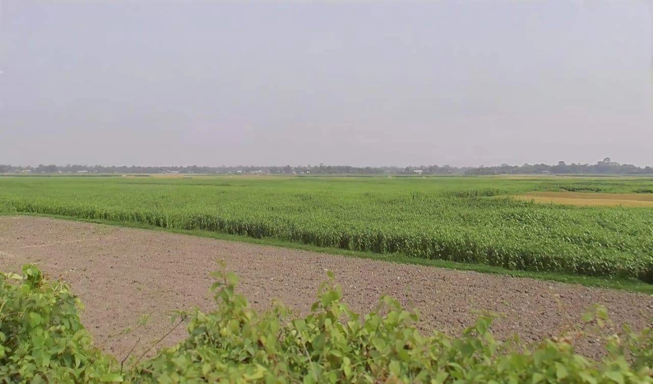 CG2W+MMW गौशाला, MDR 15, Searmau, Madhya Pradesh 470235, India preview 3