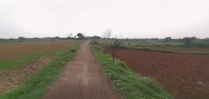 Haridwar, Uttarakhand, India preview 3