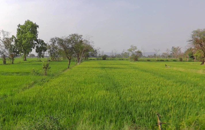 Tuma, Chhattisgarh, India