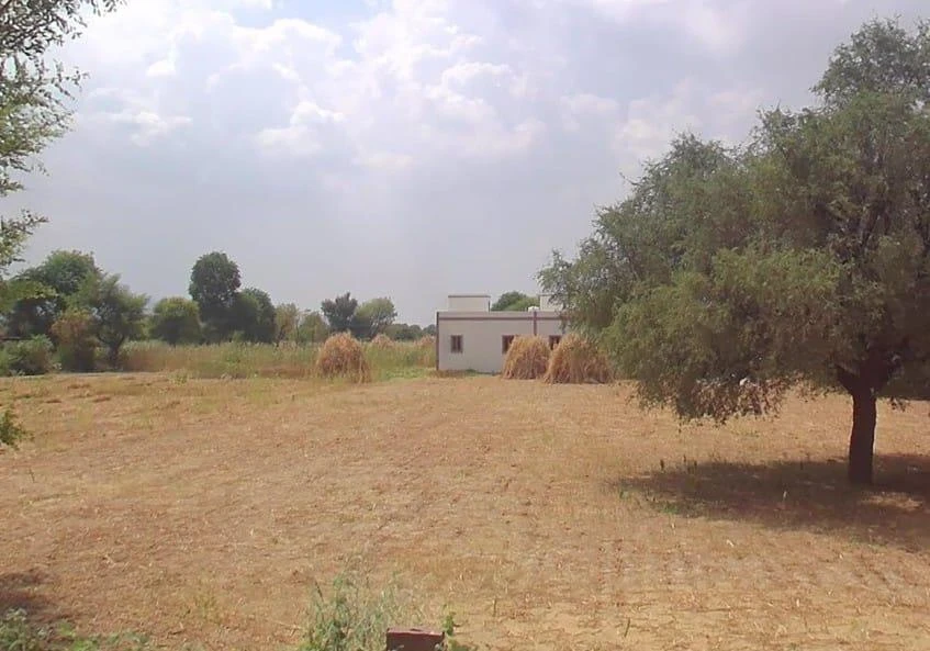 Chirana, Rajasthan 333303, India