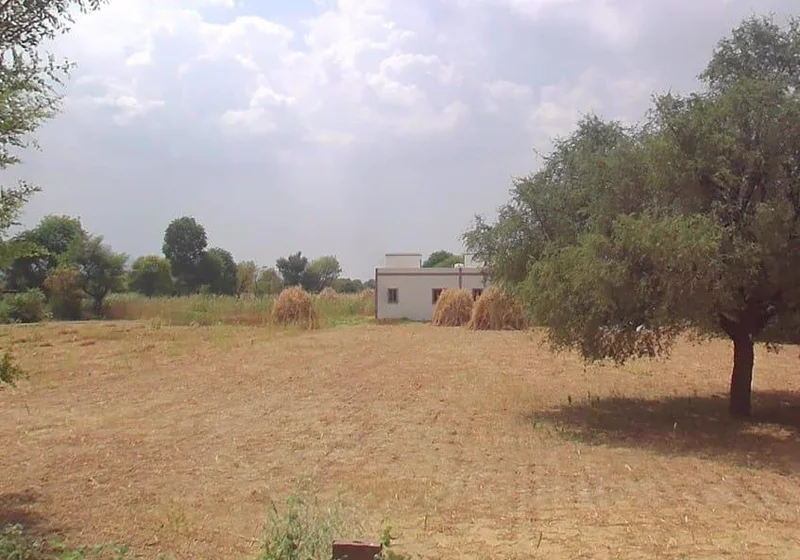 Chirana, Rajasthan 333303, India preview 2