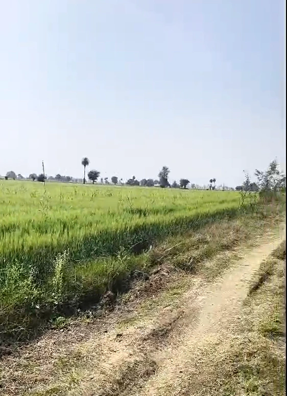 Awadhpuri, Bhopal, Madhya Pradesh 462022, India