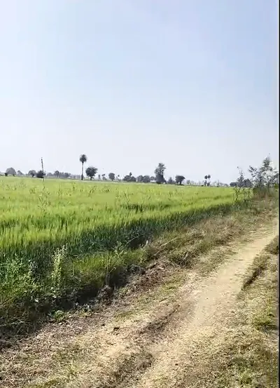 Awadhpuri, Bhopal, Madhya Pradesh 462022, India preview 2