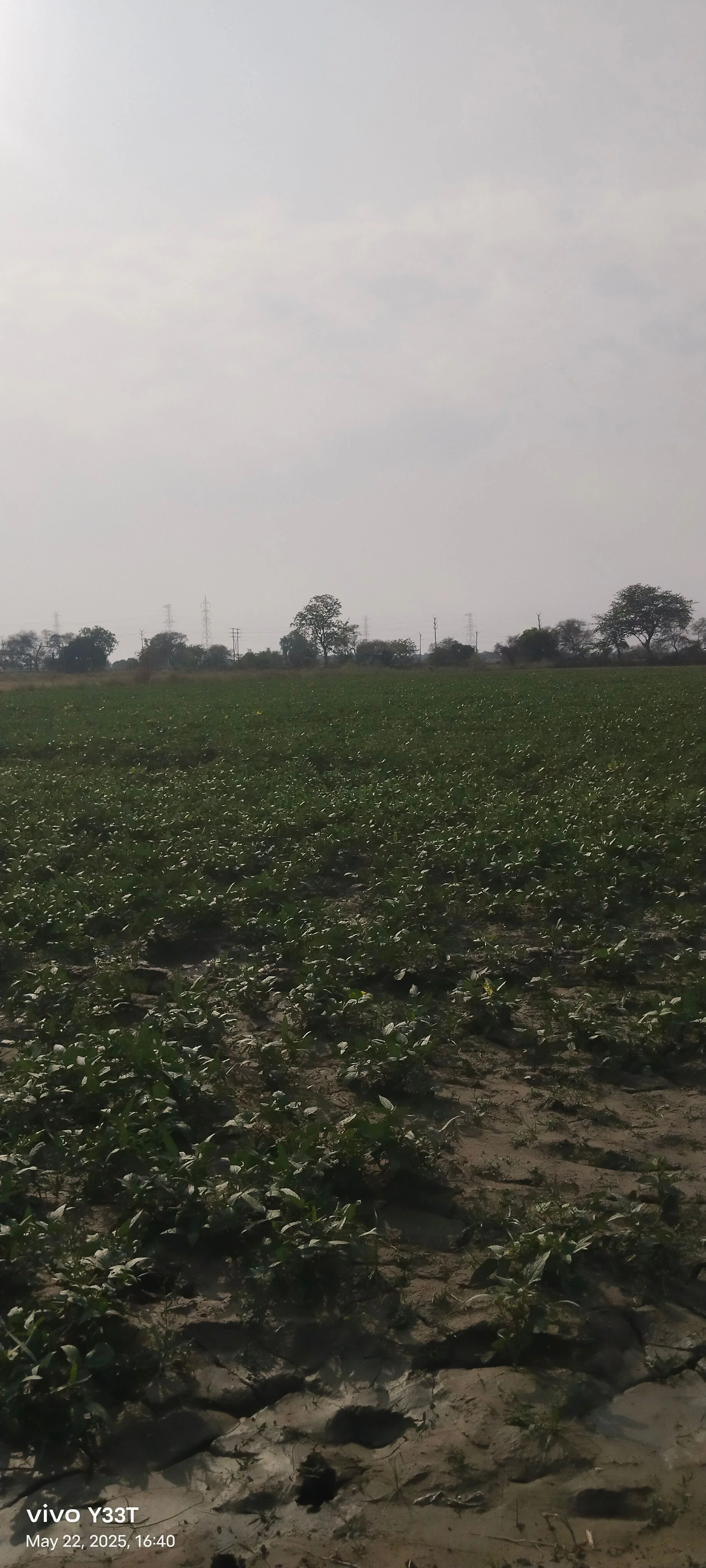 258R+G66, Pandri Gangadin, Uttar Pradesh 209206, India