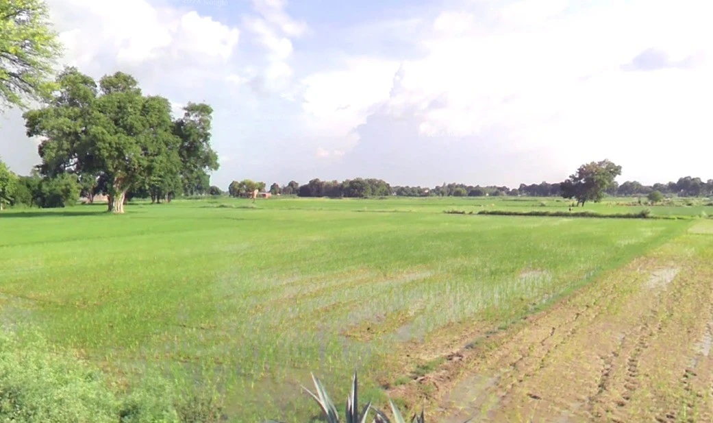 Naini, Prayagraj, Uttar Pradesh, India