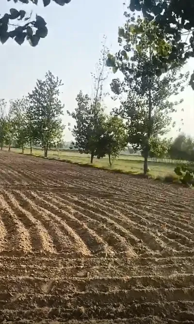 4VPV+MV Gopal Garh, Dausa, Rajasthan, India preview 3