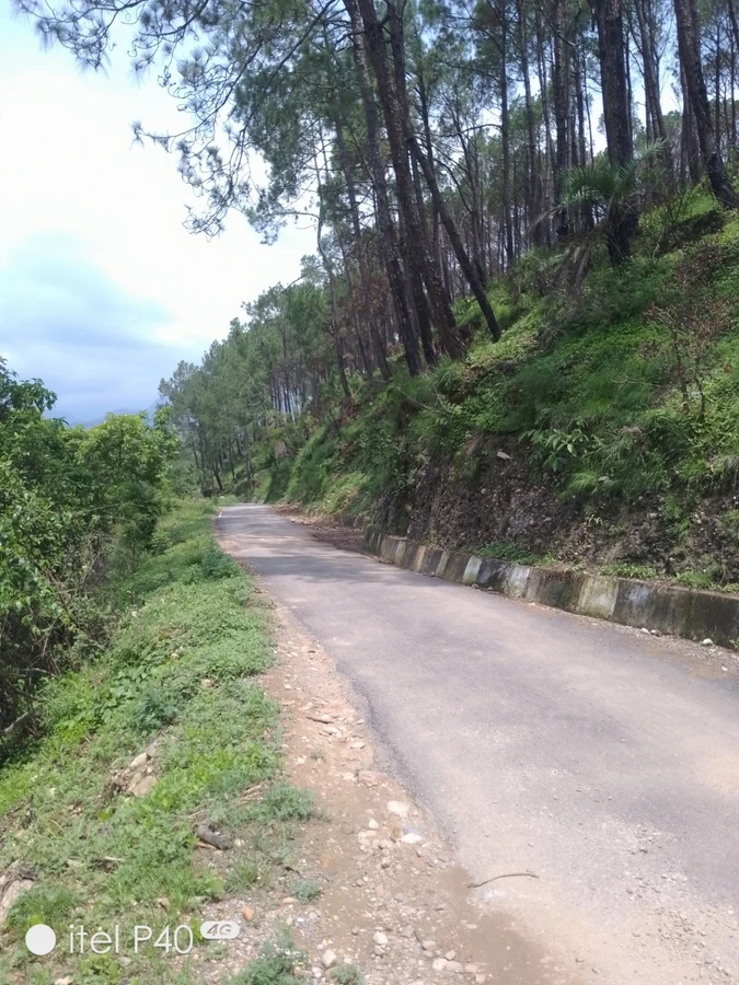 Shahpur, Himachal Pradesh, India