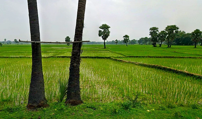 Bilaspur - Marwahi Bypass Rd, Balbahara, Chhattisgarh 495118, India preview 2