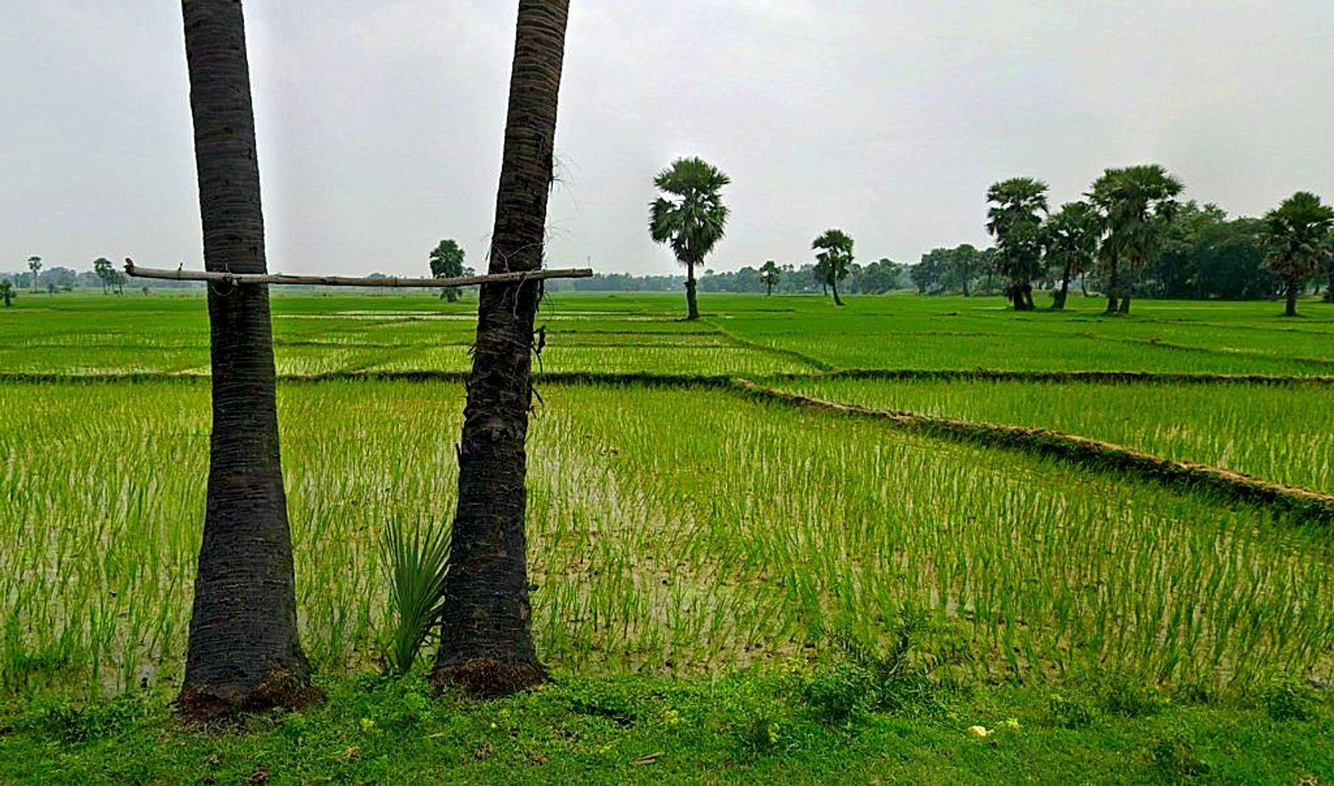 Bilaspur - Marwahi Bypass Rd, Balbahara, Chhattisgarh 495118, India