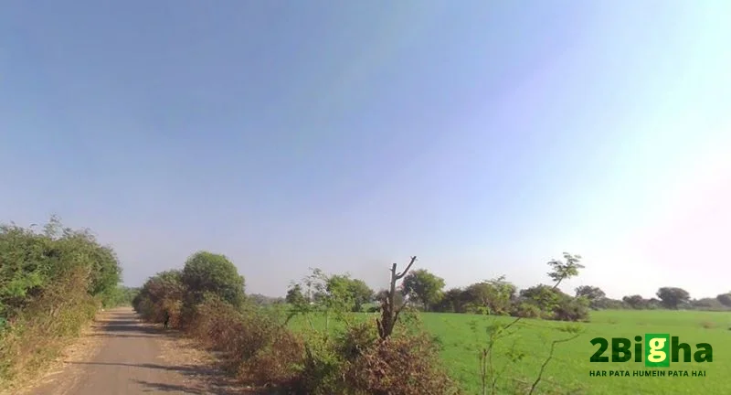 Bhadbhada Rd, Madhya Pradesh, India preview 2