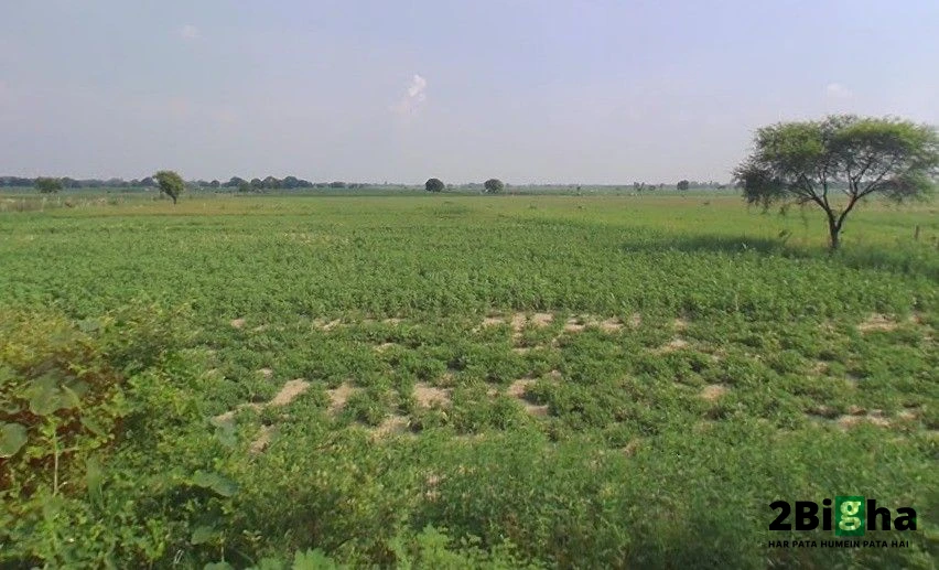 Araji no, 27, Kanpur - Allahabad Hwy, Chakeri Ward, Rooma, Kanpur, Uttar Pradesh 209402, India