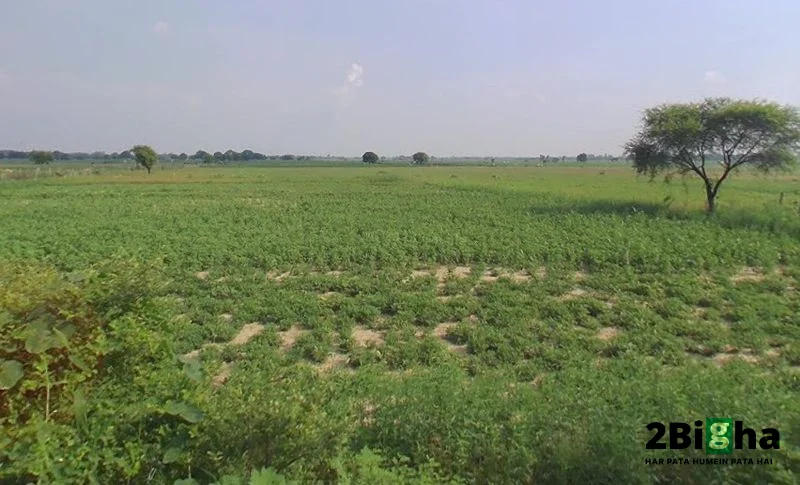 Araji no, 27, Kanpur - Allahabad Hwy, Chakeri Ward, Rooma, Kanpur, Uttar Pradesh 209402, India preview 2