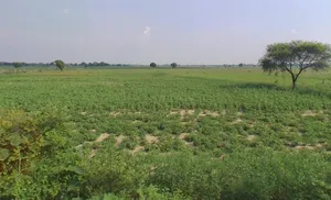 Araji no, 27, Kanpur - Allahabad Hwy, Chakeri Ward, Rooma, Kanpur, Uttar Pradesh 209402, India preview 2