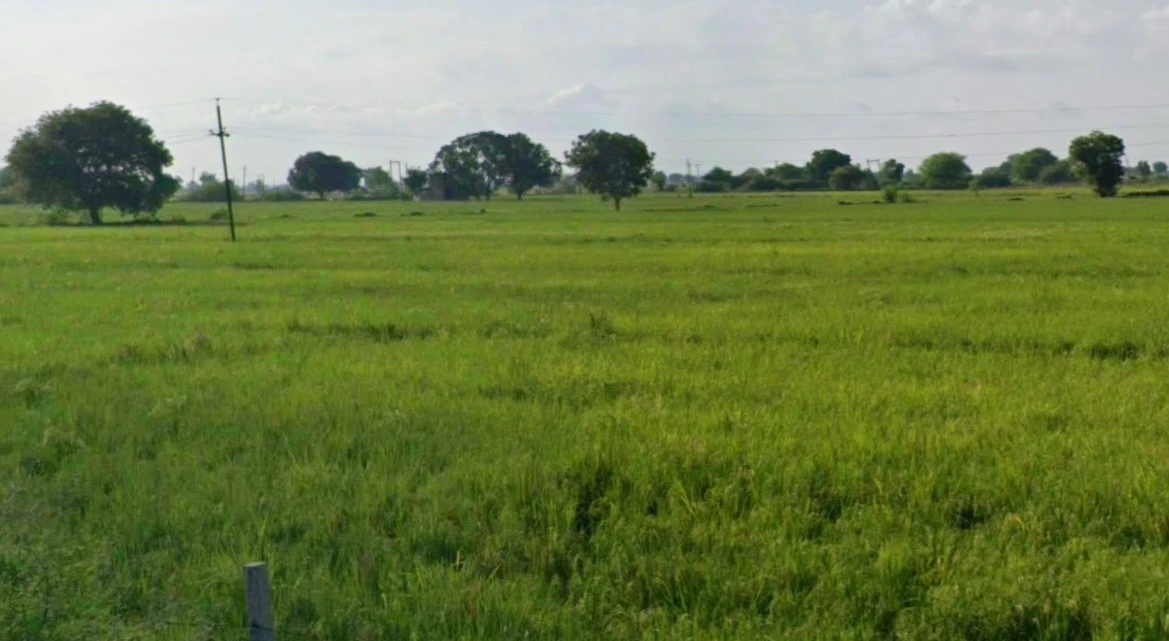 FQMF+487, Khajurna, Madhya Pradesh 458778, India