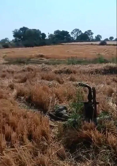 CXXG+VJQ, Ujjain, Dabdarajput, Madhya Pradesh 456668, India preview 2