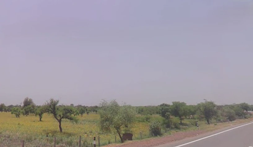 Barodameo, Rajasthan 301021, India