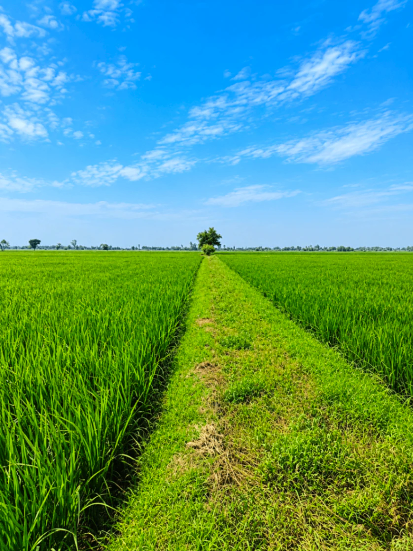 Khalishpur, Azamgarh, Uttar Pradesh, India